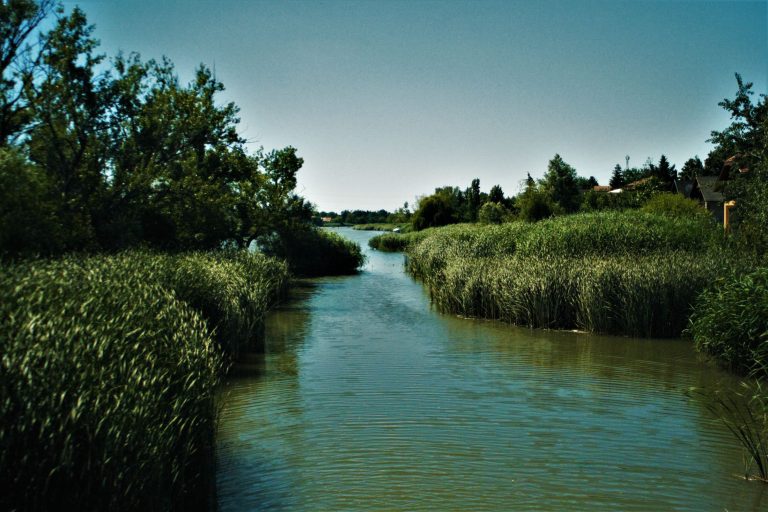 Felvágta az ereit, majd a Dunába vetette magát egy fiatal nő