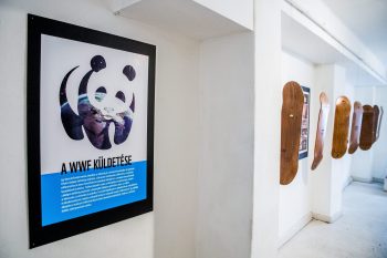 Meglepő szereplőktől csorognak fontmilliók a klímavédelmi csoportokhoz