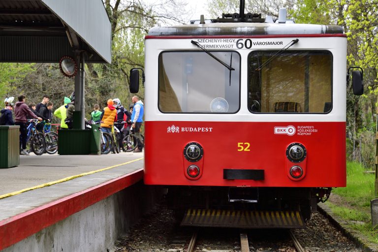 Elsodort valakit a fogaskerekű Budapest XII. kerületében