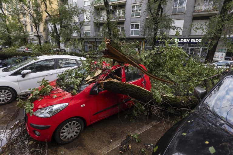 Egy 16 éves lány is életét vesztette Olaszországban, rádőlt egy fa