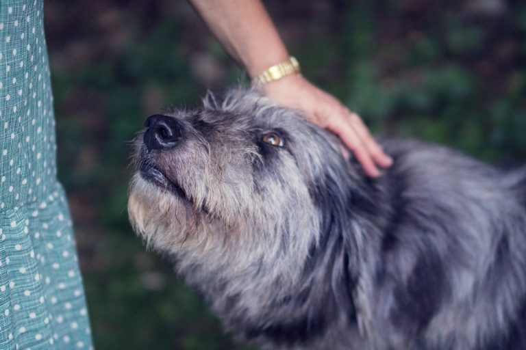 Rendőrségi ügy lett a nyaralásból, a vendégház tulajával balhézott a szállóvendég