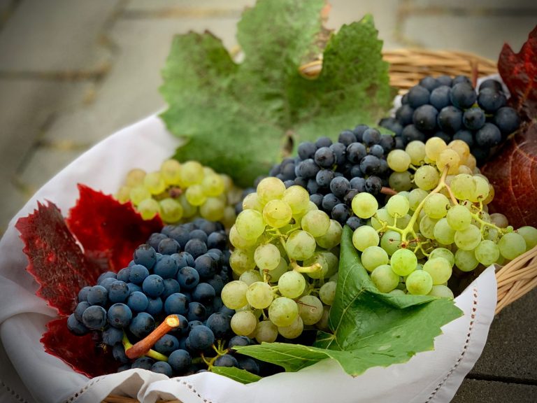 Rövidesen piacra kerülnek a hazai, korai érésű csemegeszőlő-fajták