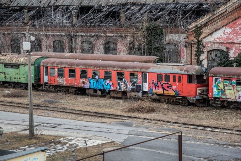 Kutyája emlékére graffitizett egy Rákosrendezőn álló vonatra (fotók)