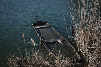 Két gyermeket és egy férfit mentettek ki a Dunából, miután elsüllyedt egy csónak