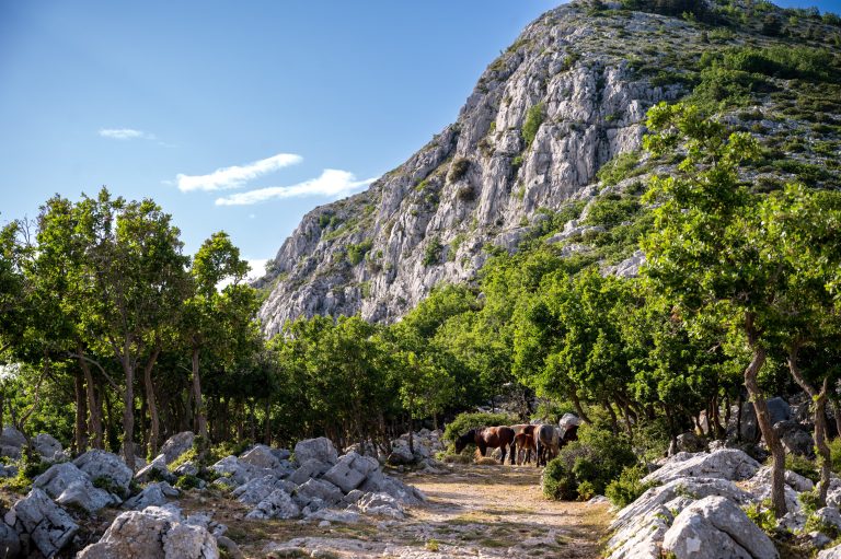 Magyar turistát kellett kimenteniük a horvát hegyimentőknek