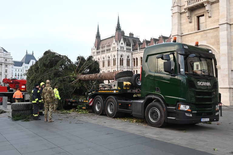 Videón, ahogy átszelte az országot a Kossuth téren felállított 24 méteres fenyő