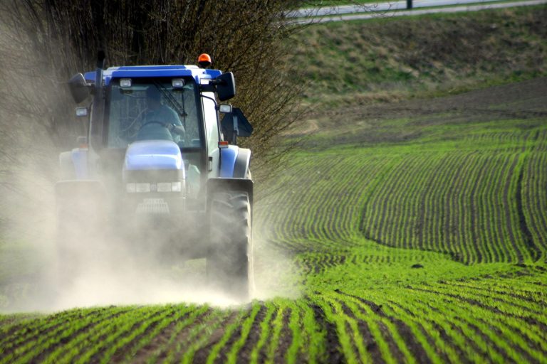 Rekordnagyságú, 1300 milliárd forintos az idei mezőgazdasági agrárkifizetés