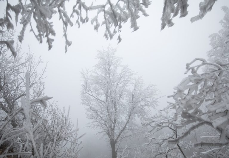 Félméteres hó esett Dobogókőn (fotók)
