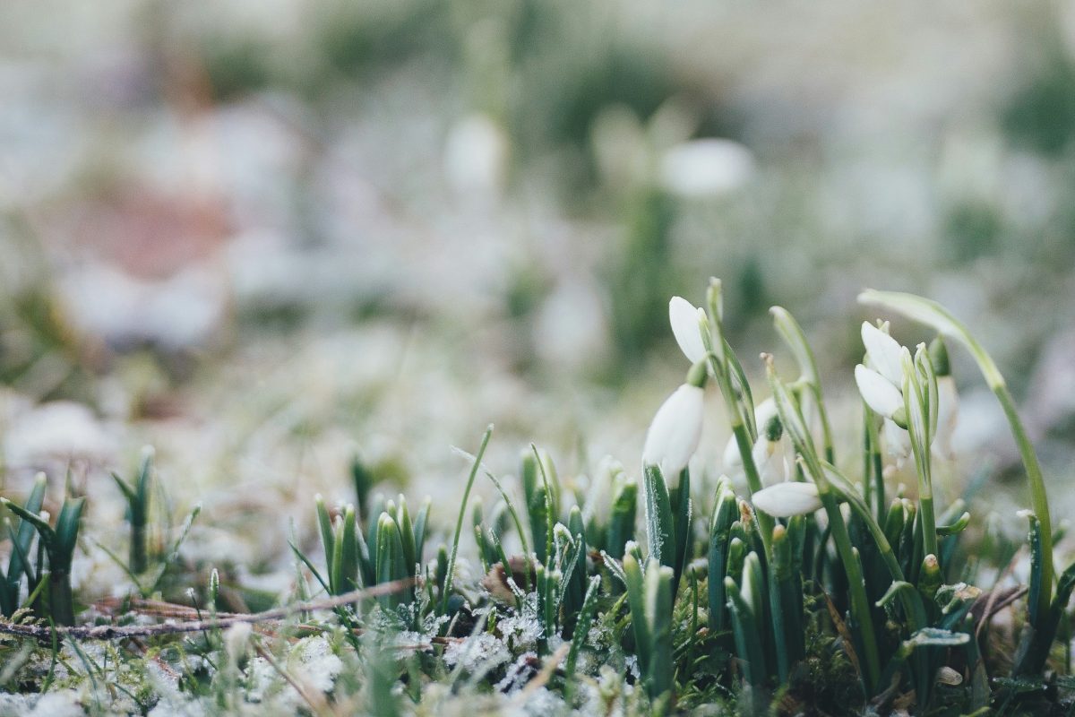 Húsz fok közelébe emelkedhet a hőmérséklet csütörtökön