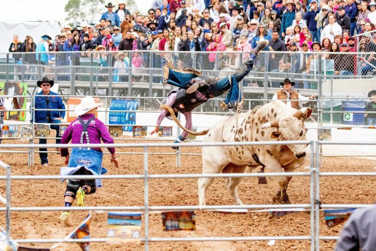 Elszabadult egy bika egy oregoni rodeón, legkevesebb három ember megsérült (videó)