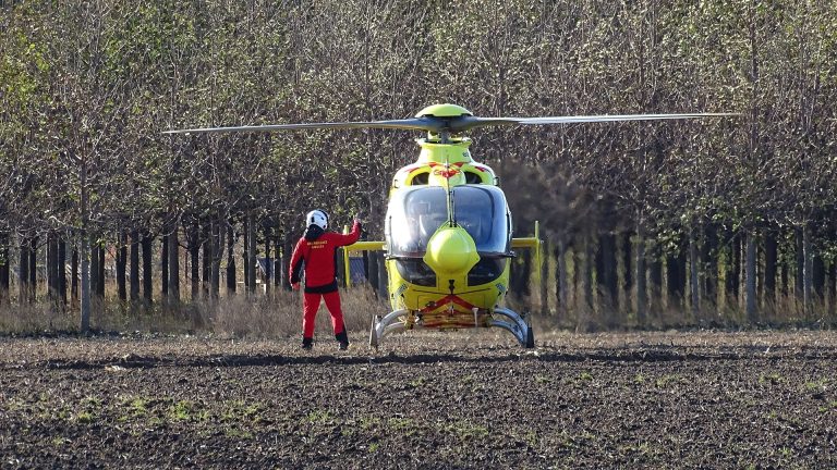 Pitbull támadt egy 2 éves kislányra Rajkán, mentőhelikoptert küldtek érte