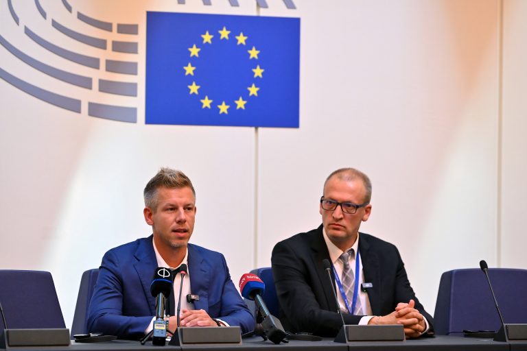 Alelnök lett Magyar Péter az EP-ben, összejátszással vádolja a Fideszt és a DK-t
