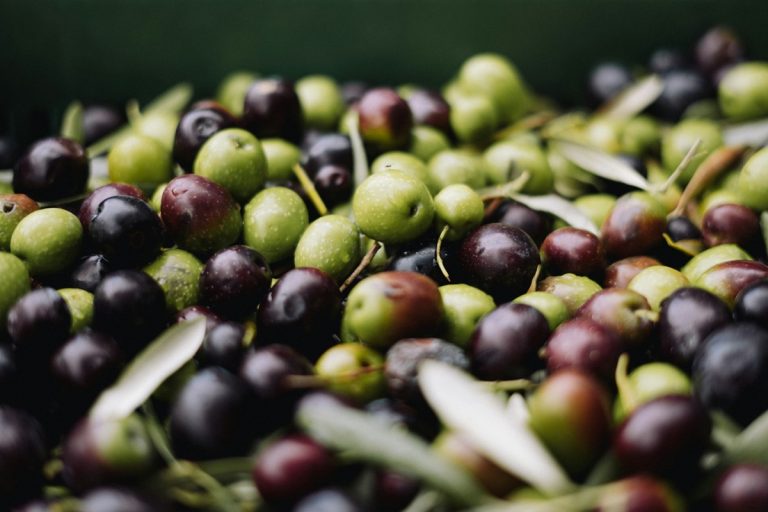 Az olívabogyó segíthet a fogyásban?
