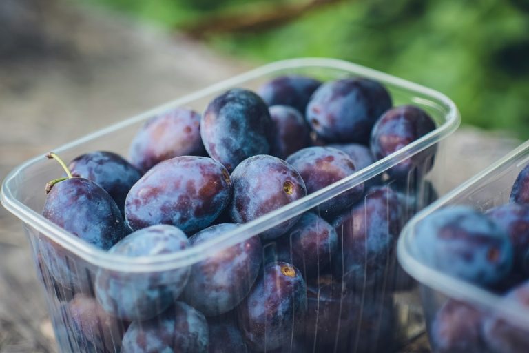 Jó szilvatermésre számíthatunk idén, de a hőség így is érezteti hatását