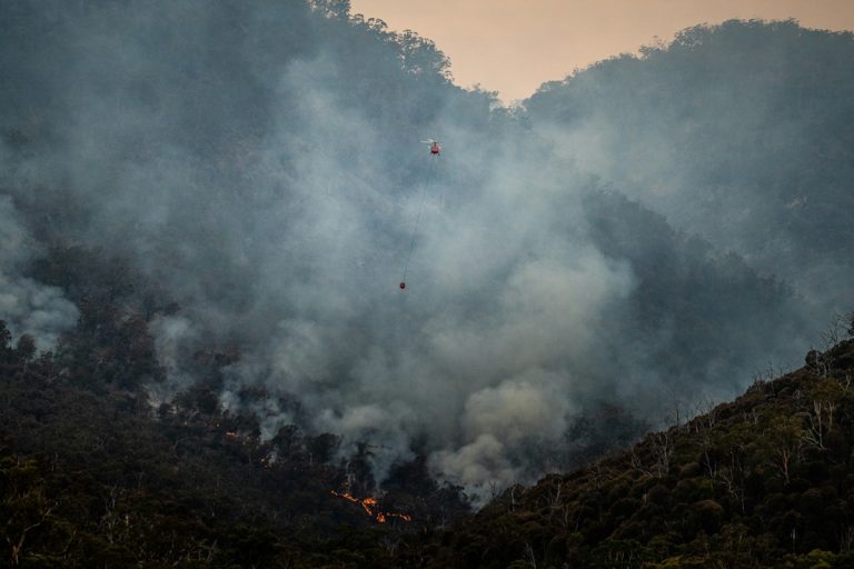 A gyorsan terjedő erdőtűz miatt Európa egyetlen fennmaradt őserdeje is veszélyben van