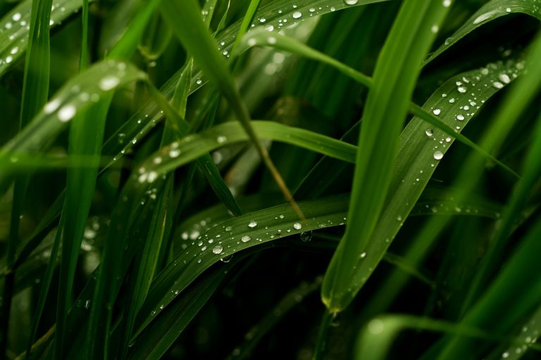 Frissítő záporok és zivatarok is várhatók szombaton, de így is 30 fok felett lesz a hőmérséklet