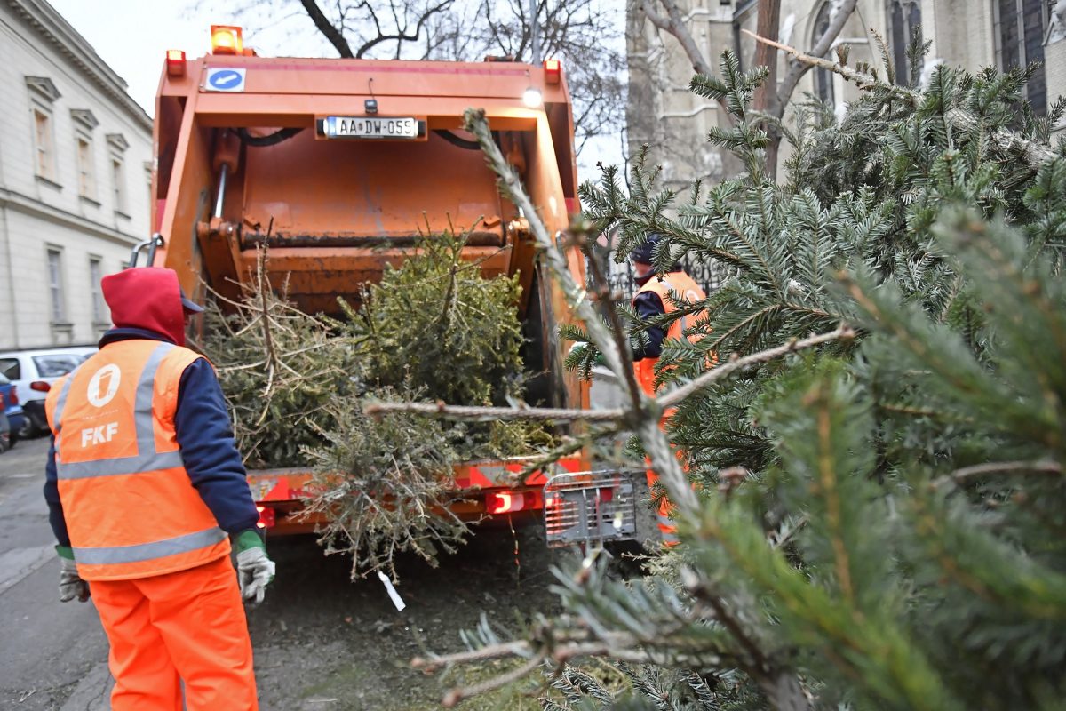 Így változhat meg alapjaiban a lomtalanítás: itt vannak a részletek