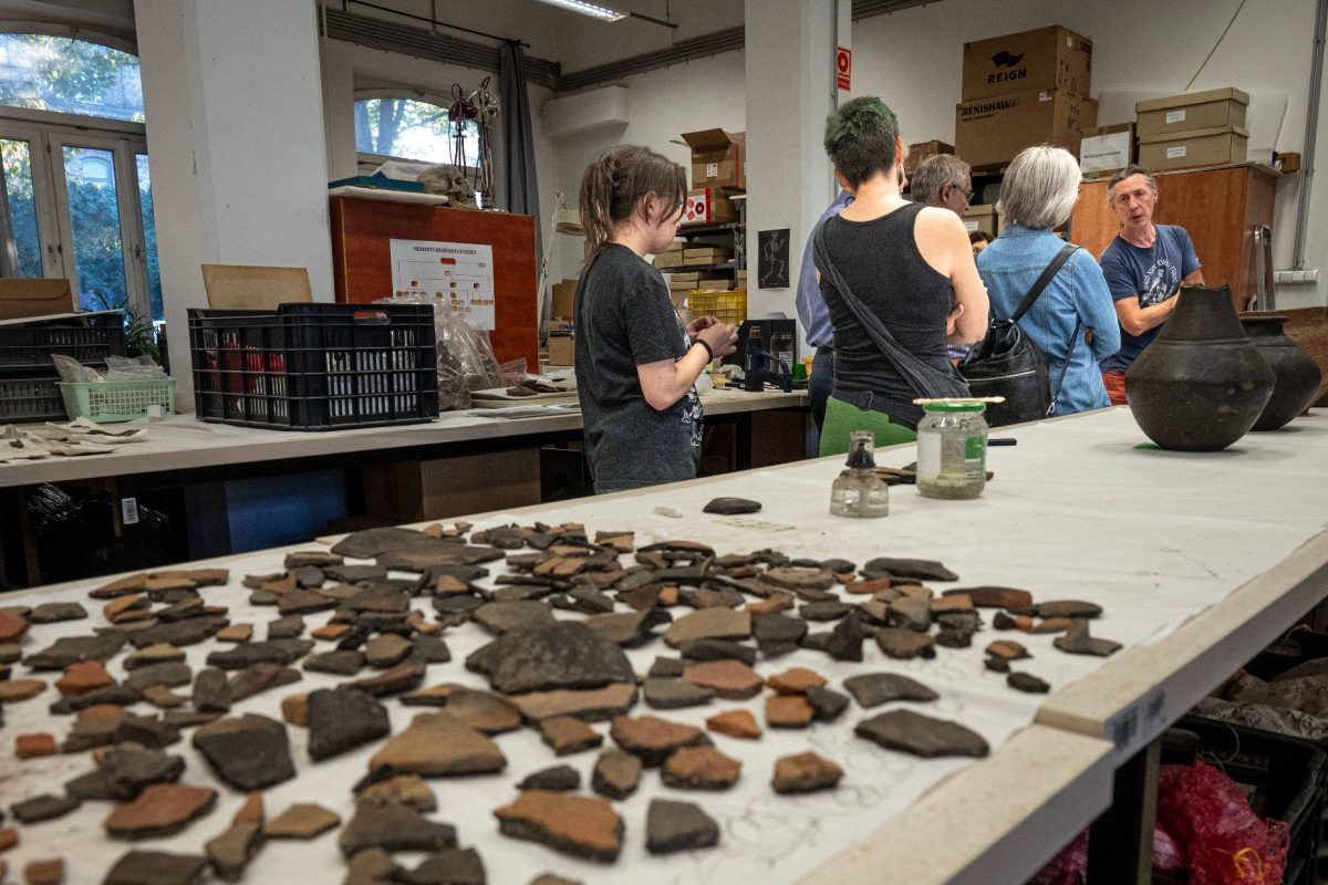 Hekkertámadás áldozata lett a Nemzeti Régészeti Intézet