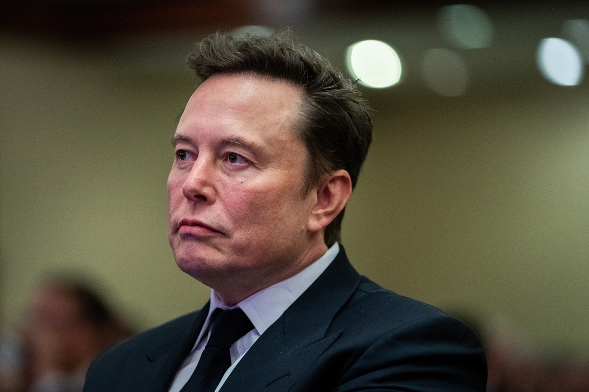 Elon Musk szerint az AfD Németország egyetlen reménye