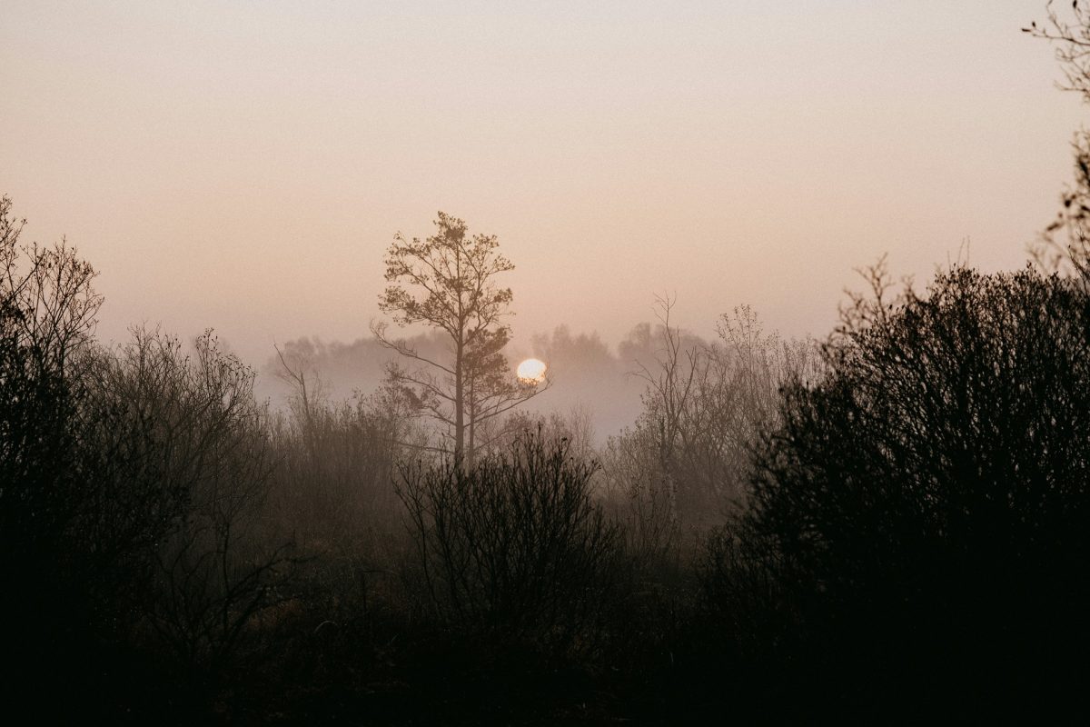 Nem volt még ilyen hideg reggelünk idén, mint ma