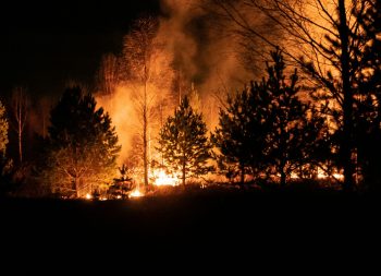 Egy férfi gondatlansága okozhatta Dél-Korea eddigi legsúlyosabb erdőtüzét