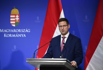 Bejelentéseket tett csütörtökön a kormány az újdörögdi gránátbalesetről