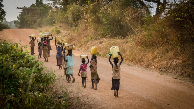 Ebola-vírusban halt meg egy négyéves gyermek