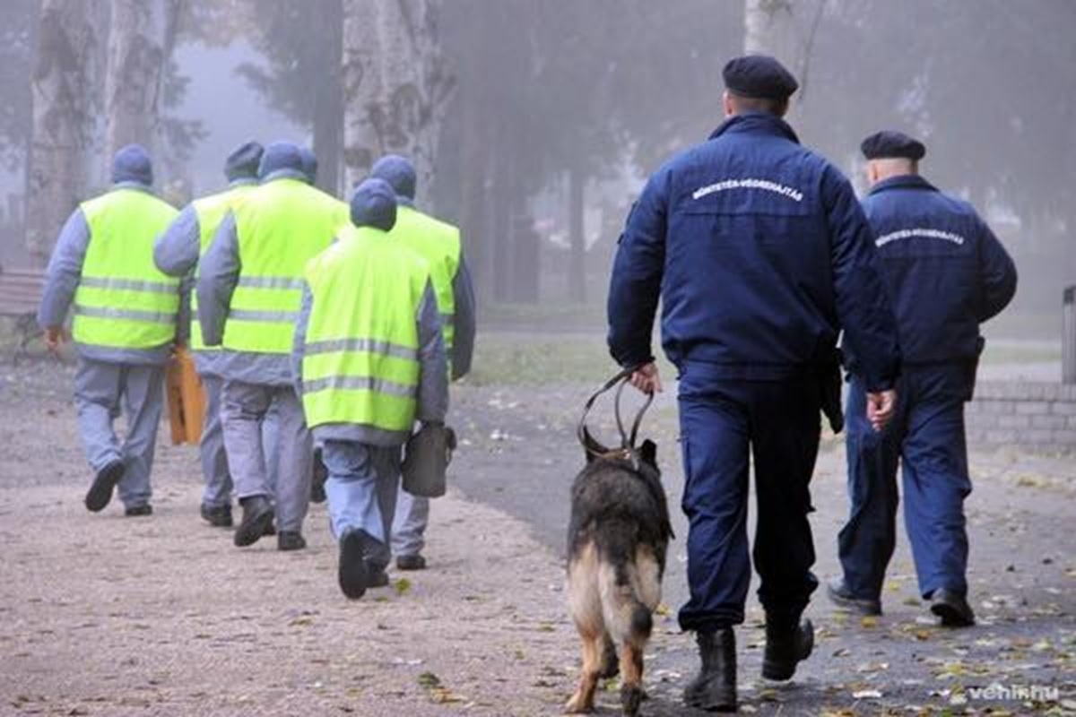 Igazi rémálom a drogdílerek számára: a börtön mellett munka is várja őket