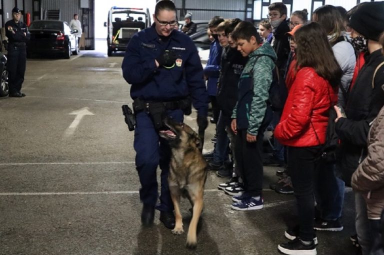 Rendőrségi kiképzésre keresnek alkalmas kutyákat