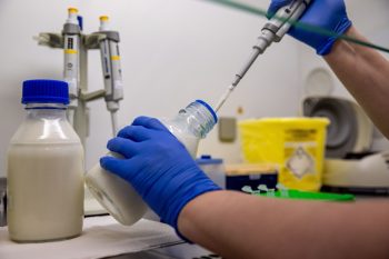 Fertőzésgyanú Rábapordányban: újabb magyar állattartó telepen merült fel a száj- és körömfájás lehetősége