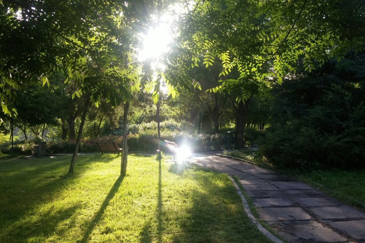 Kiderült, milyen időnk lesz a jövő héten