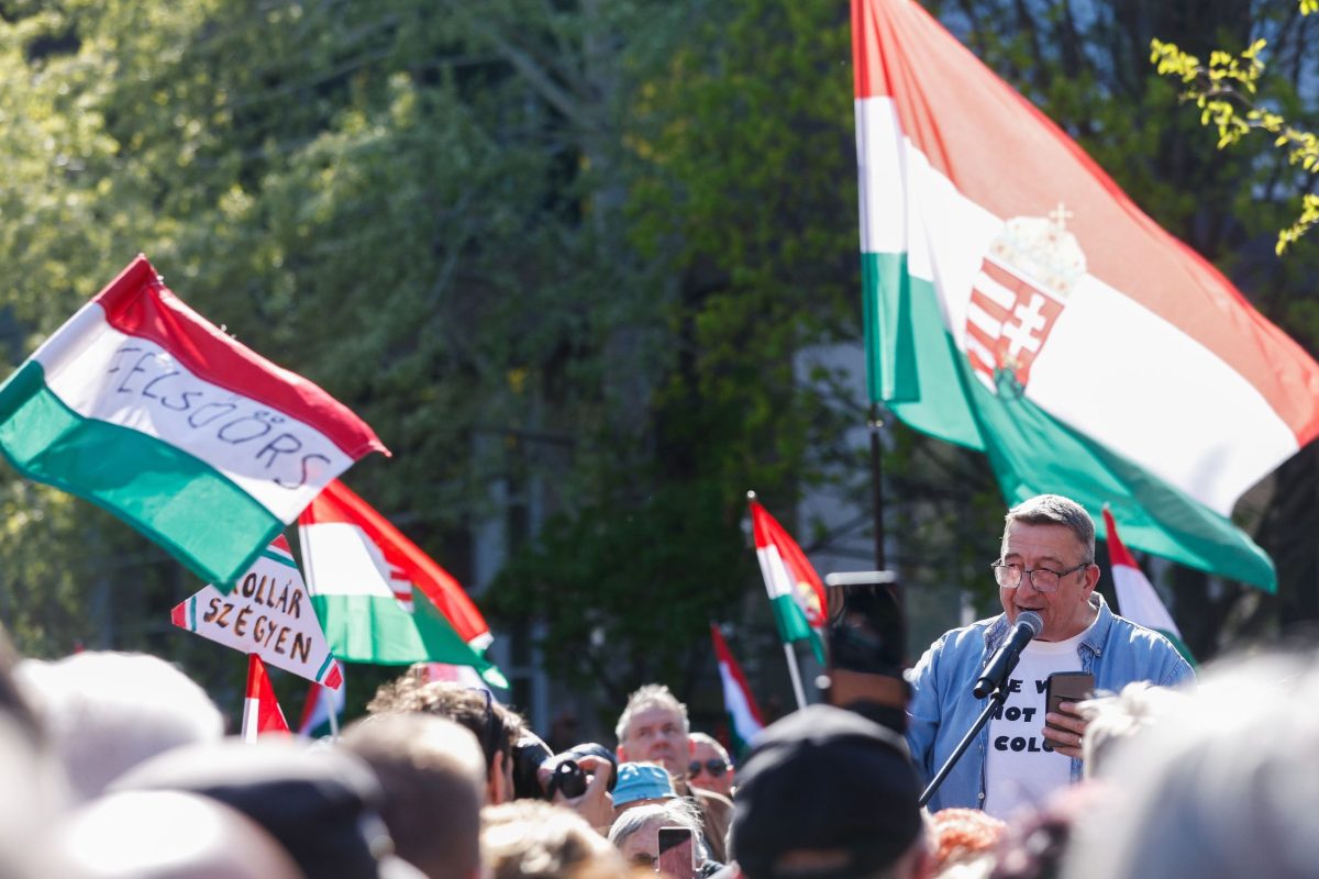 Felfüggesztett börtönbüntetést kapott, most újra tüntetett a tiszás aktivistákat akasztással fenyegető férfi