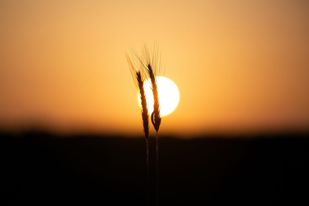 Szombatra visszatér a jó idő, de a forróságra még várnunk kell