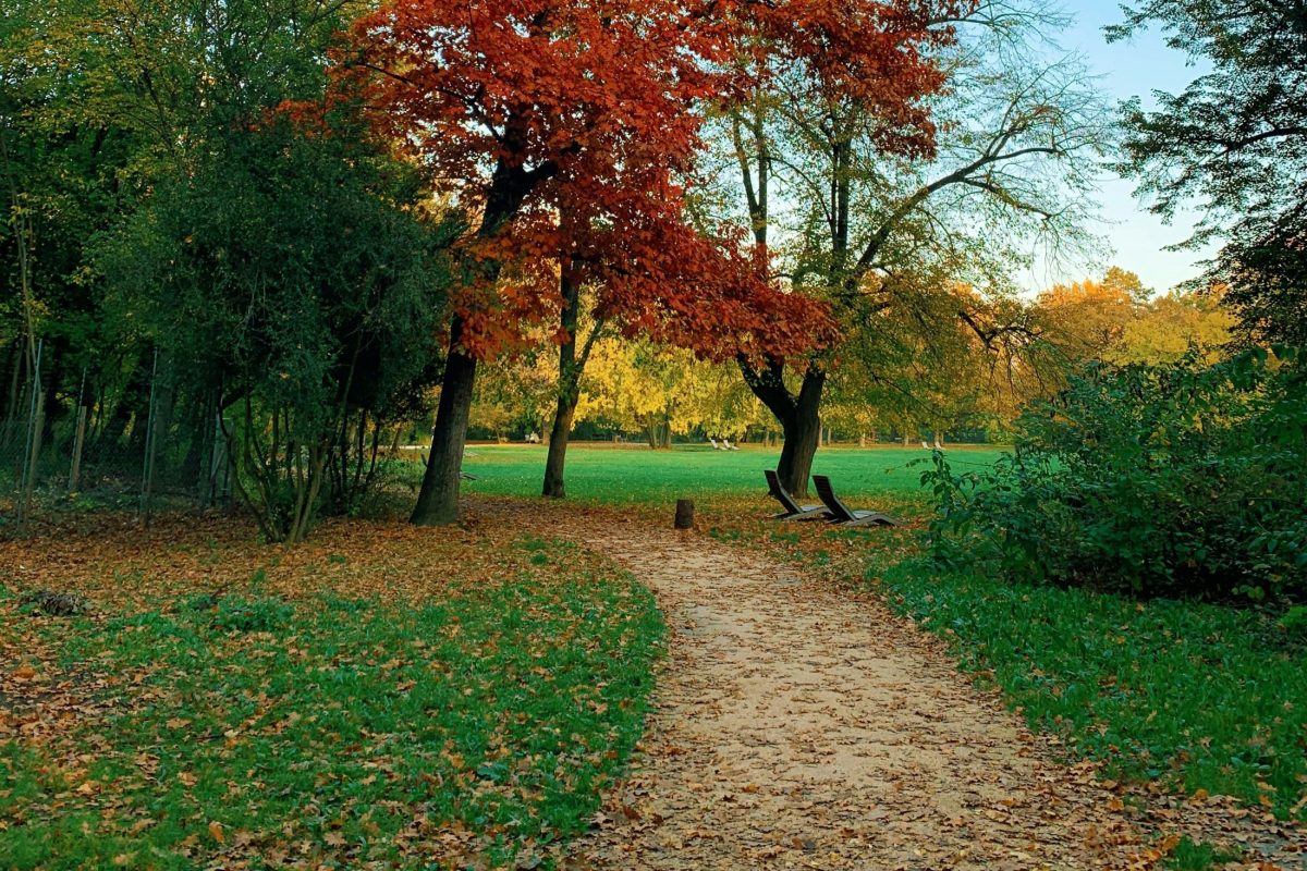 Szikével fenyegető férfit fogtak el Szegeden – kisgyermekes családokat is zaklatott