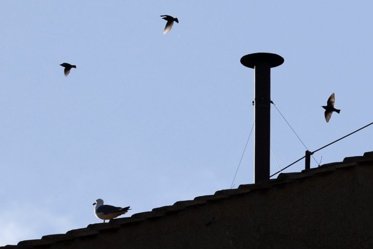 Megjelent a fehér füst a Sixtus-kápolna kéményéből, aztán gyorsan el is tűnt