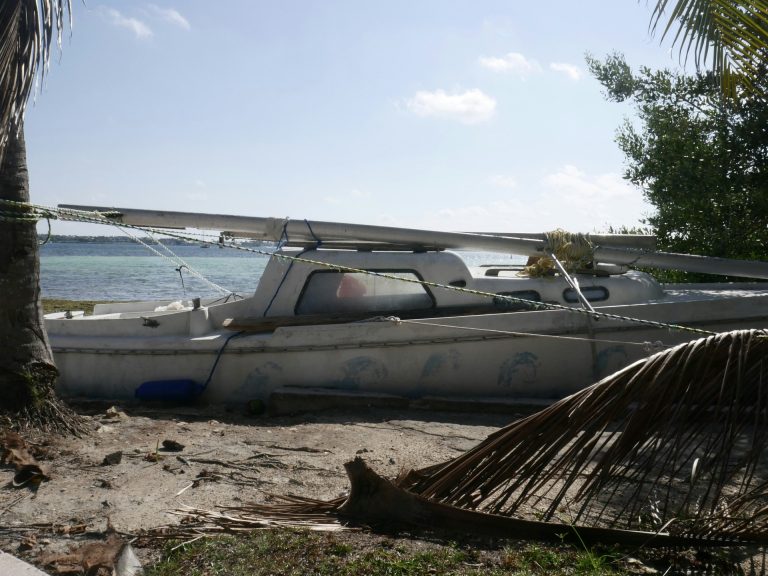 Tizenegy bomlásnak indult holttestet találtak egy partra vetett hajóban
