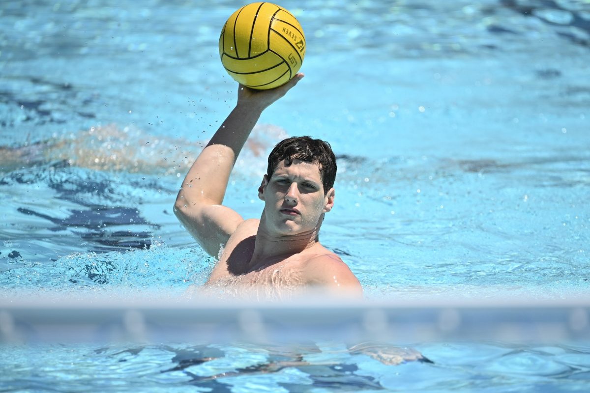 Történelmet írt a Ferencváros