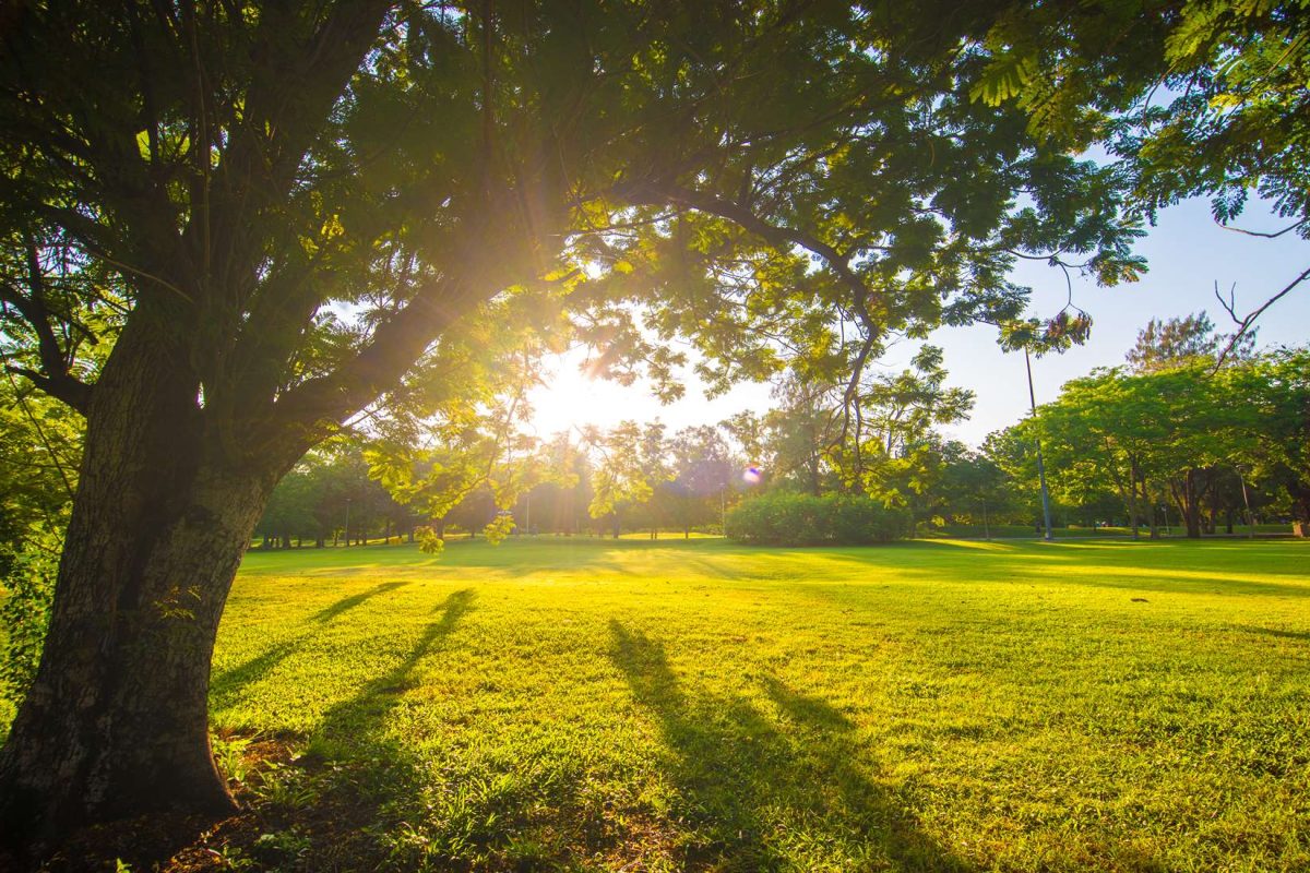 Csak pár gomolyfelhő zavarhatja meg a verőfényes napsütést szerdán