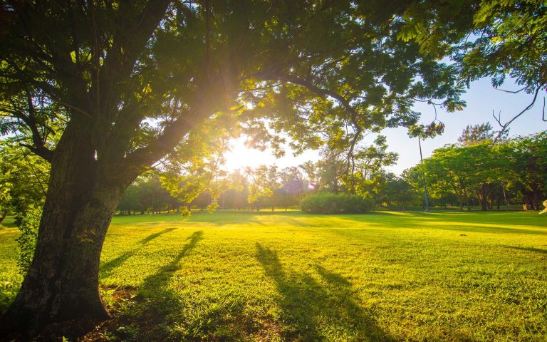 Csak pár gomolyfelhő zavarhatja meg a verőfényes napsütést szerdán