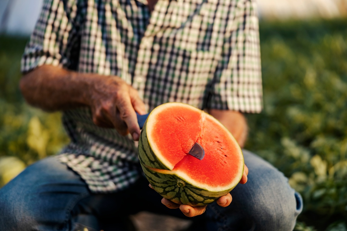 Jövő héten startol a hazai dinnyeszezon, az ellenőrzések sem maradnak el