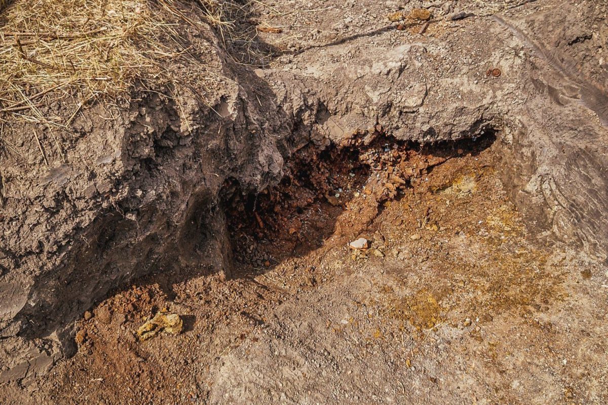 Feltételezett robbanóeszköz miatt zárták le a Széchenyi körút környékét Kecskeméten