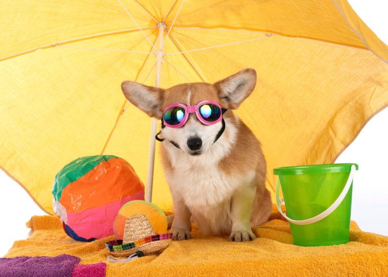 Verőfényes napsütés vár ránk szombaton