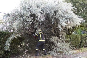 Óriási pusztítást végzett a hétfői vihar, itt vannak az új számok