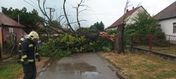 Országszerte pusztított a rekordméretű vihar, 350 ezer háztartás maradt áram nélkül