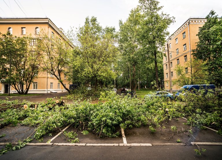 Rengeteg budapesti járatot érint a fakidőlések miatti közlekedési zavar