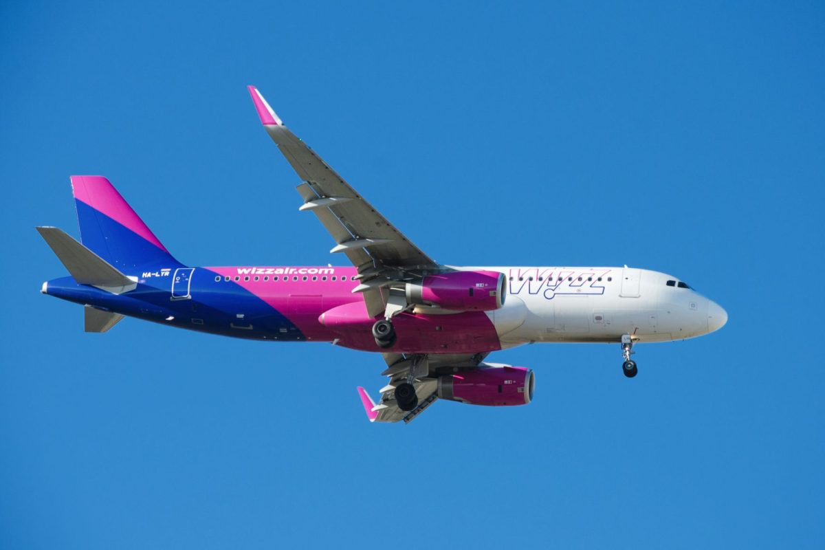 Vissza kellett fordulnia a Wizz Air Budapestre tartó járatának, miután madárral ütközött