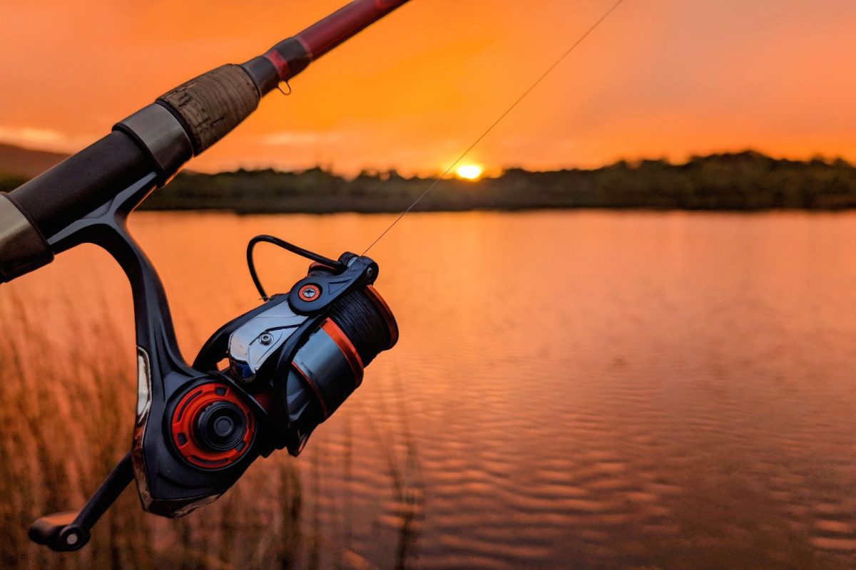 Csökkent a balatoni fogások száma, máshol eredményesebbek voltak a horgászok
