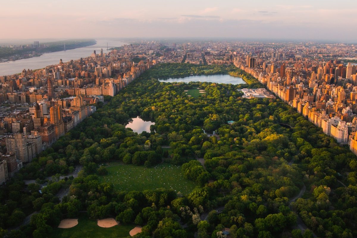 Egyre súlyosabb a patkányinvázió New Yorkban, már a babakocsikba is bemásznak