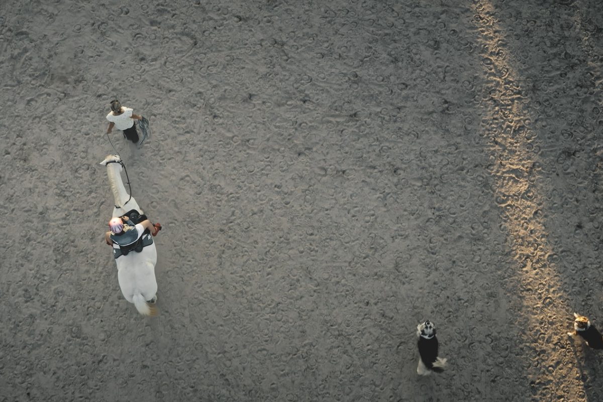Tragédia a versenypályán, életét vesztette egy ismert lovas