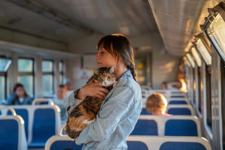Macskájának túl hangos nyávogása miatt bírságolták meg egy vonaton utazó nőt